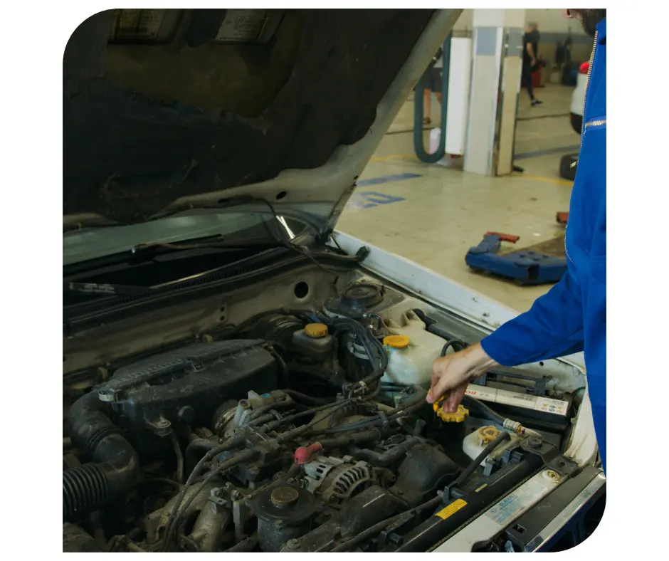 Limpiador de cuerpo de aceleración