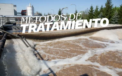 Procesos biológicos vs químicos