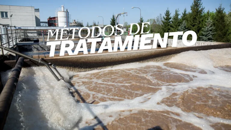 Procesos biológicos vs químicos