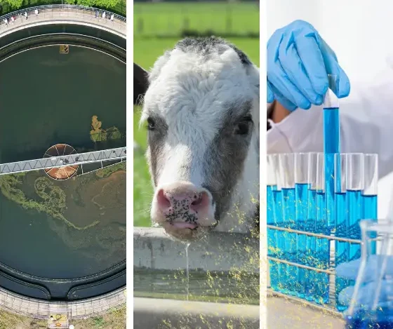 Productos de uso industrial